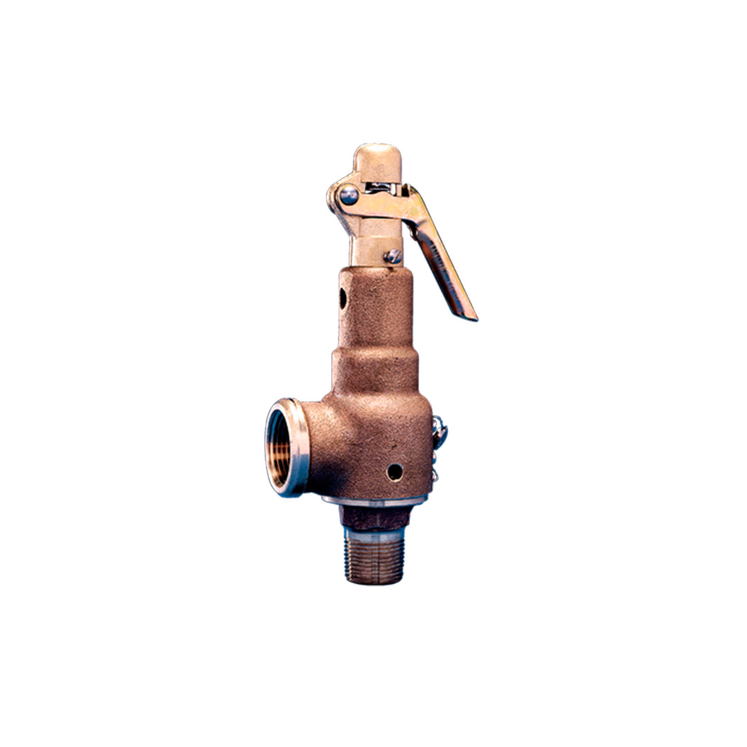 series-6000-safety-relief-valves